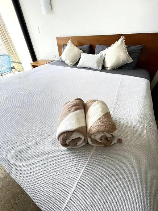 Pura Playa Luxury Condo 5Th Avenue Rooftop Ocean View Playa del Carmen 0*,